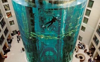 В Берлине лопнул огромный 16-метровый аквариум в отеле Dom Aquaree