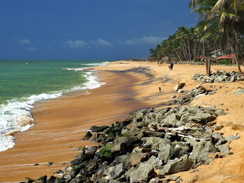 Шри-Ланка запустит для туристов из РФ акцию «Два билета по стоимости одного» 
