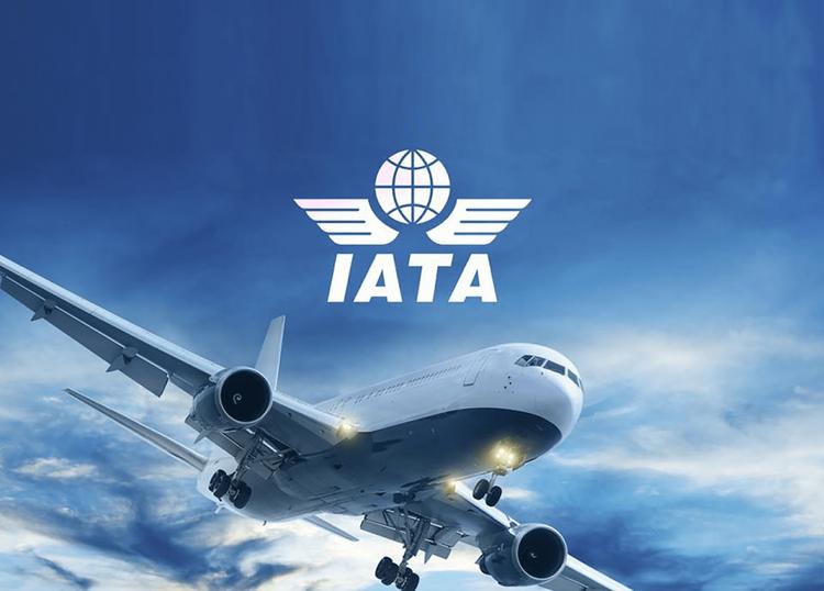 IATA агрессивно выступила за снятие всех ограничений на туристские поездки